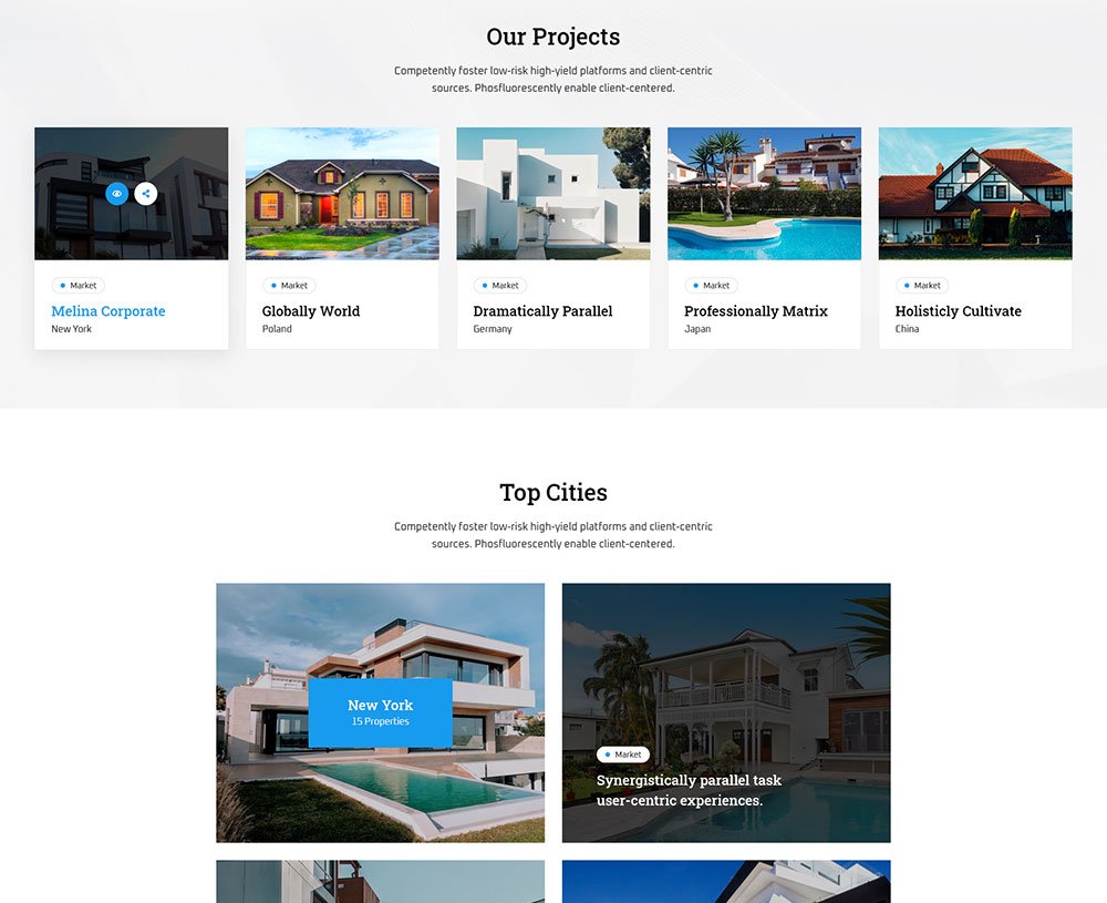 real estate project